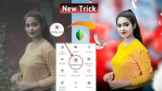 Snapseed Bird Photo Editing || Snapseed Background Change Photo Editing || Snapseed Photo Editing screenshot 3