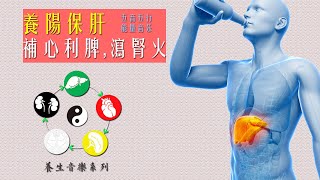 ♫ 近1小時五行能量音樂 養肝音樂 五音音樂 木音角韻    易經風水音樂  ☯Music therapy in Chinese medicine   ☯Chinese Feng Shui Music