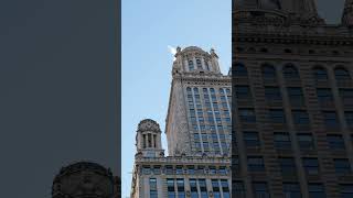 Exploring Art Nouveau Architecture in Chicago | Hidden Gems of the City