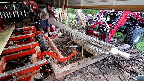 This Was Not What I Wanted To Find Inside A Log, Sawmill Vlog