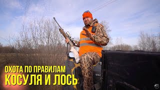 Косуля и лось // Охота по правилам / Выпуск 13