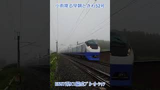 小雨降る早朝ときわ52号・E657系K1編成ブルーオーシャン