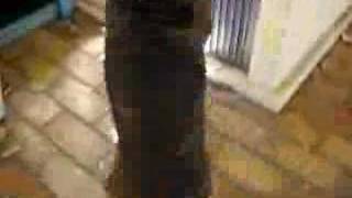 Staffy & Pitbull Playing