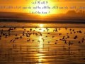   محمد صديق المنشاوي الرقيه الشرعيه بسورة غافر ساعه و 50 دقيقه