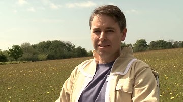 BBKA SWARM AND SWARM PREVENTION