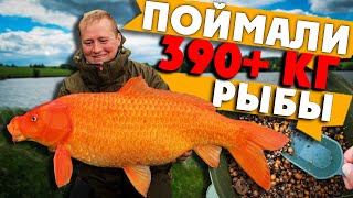 КАРПЫ, АМУРЫ и даже КАРП КОИ... Потому что ФЛЭТ ФИДЕР РУЛИТ! Рыбалка 2021