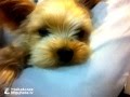 naomile はじめてのチュウ byこんぶ