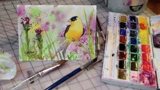 watercolor tutorials painting goldfinch tutorial birds watercolour easy draw paint crafter frugal lindsay weirich paintings pencil tube y5o