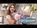 букет на 1 СЕНТЯБРЯ | как УПАКОВАТЬ гортензию