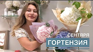 букет на 1 СЕНТЯБРЯ | как УПАКОВАТЬ гортензию