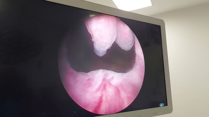 Teenage Mutant Ninja Turtles porno: Leo va Karai Blondes dan retro deepthroat blowjobs