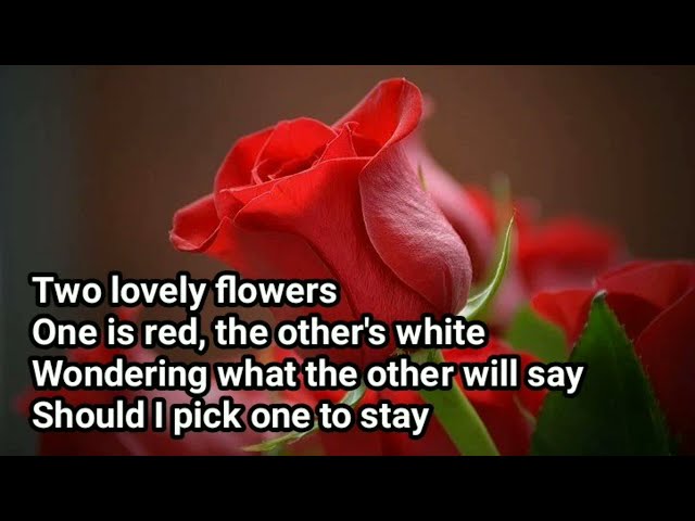 Two Lovely Flowers - Eddie Peregrina lyrics class=