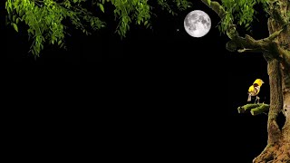 Garden Tree Black Screen / Background Video Effects hd /Black Screen Effects/Nature Background Video