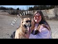 Day in the Life: Emergency Vet Trip for our German Shepherd | WEIGHT LOSS VLOG | Losing 200lbs