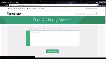 Bulk Domain Authority, Page Authority & IP Address Checker