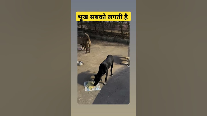 भूख सबको लगती है