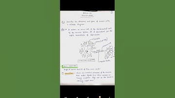 BPCG 171 SOLVE PYQ HINDI  #bpcg171