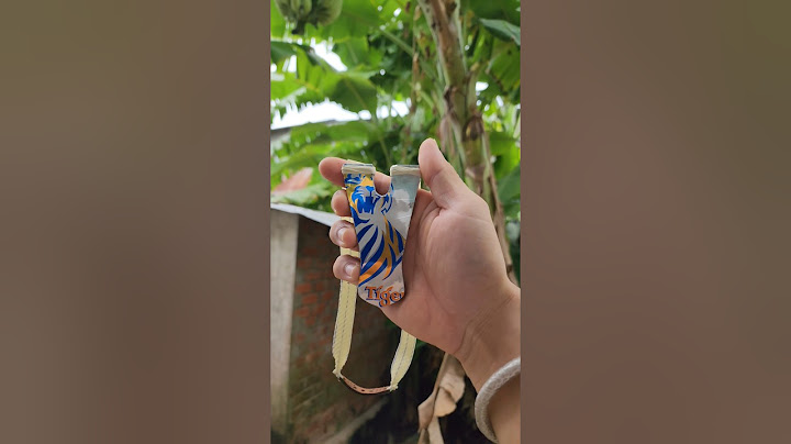 Truy bắt đối tượng Bìm Bịp #hữuphướcvlogs