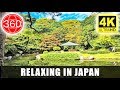 [4K 360°] Relaxing and Meditating on the Bridge, Utsunomiya Central Park, Tochigi || JAPAN 360