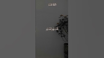 القرآن الكريم | ماتيسر من سورة الحشر  بصوت القارئ محمد صديق المنشاوي | قناة التلغرام بالوصف