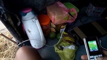 Suara pikat burung belibis jos