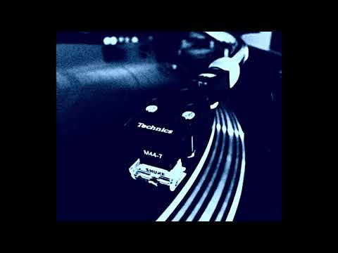      1981