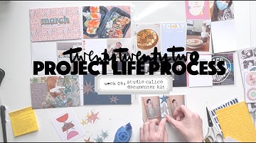 2022 Project Life Process: Week 09 Studio Calico March Documenter Kit