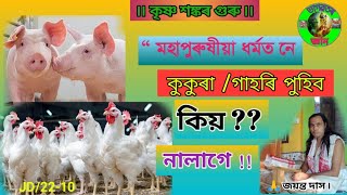 🙏 মহাপুৰুষীয়া ধৰ্মতেই নে ? কুকুৰা / গাহৰি পুহিব কিয় ?? নালাগে !! কত লিখা আছে !! ভাগৱতৰ জ্ঞান ৷