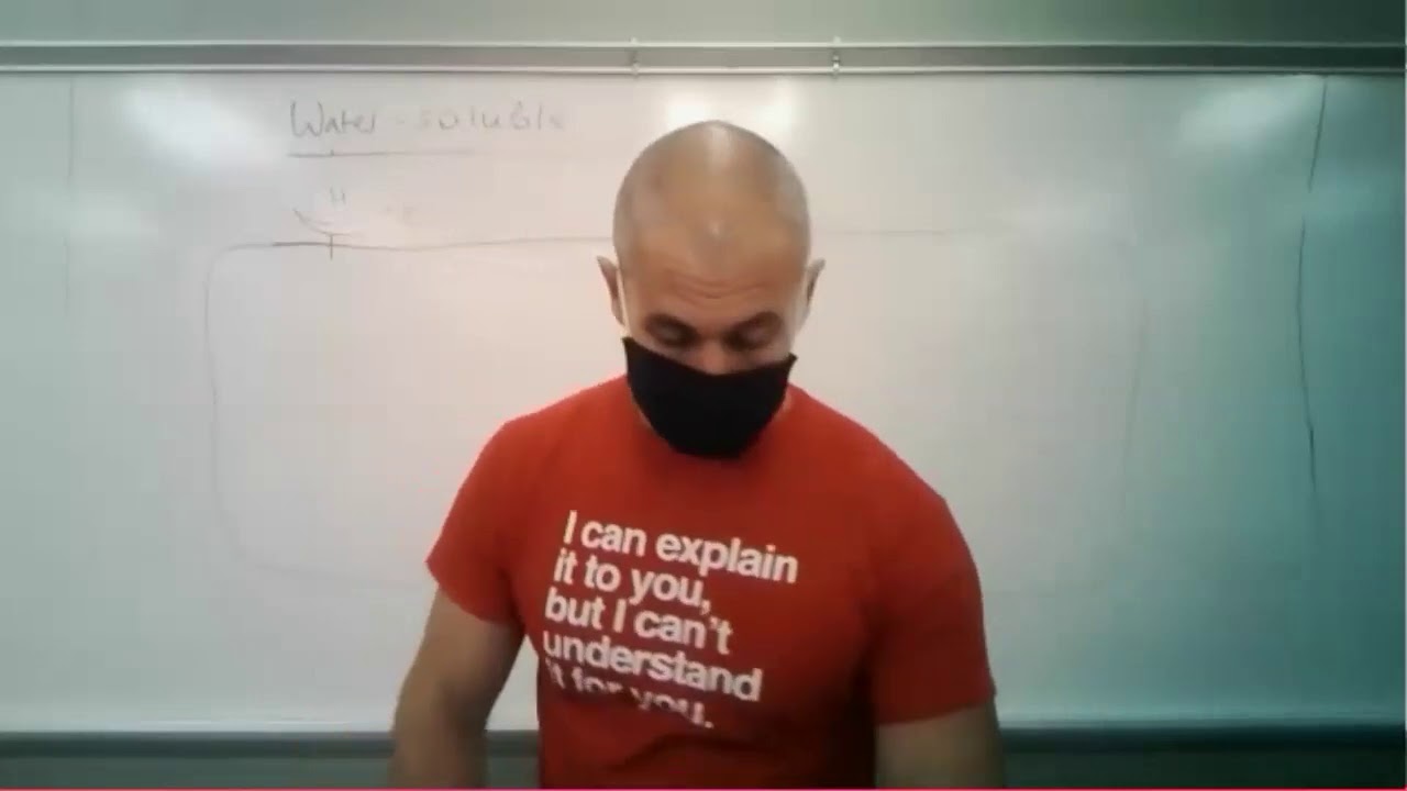 A&P II review session, week 1