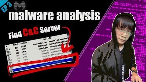 Malwarebytes | EP3 | malware reversing crackme | dynamic analysis | PE
