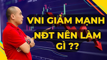 VNindex Giảm Mạnh - Nhà Đầu Tư Cần Làm Gì? | Quang Dũng DBD
