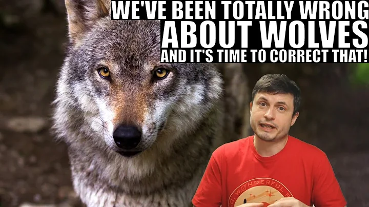 We Were Wrong About Wolves and Wolf Packs This Who...