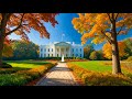 The Best Classical Music Music For The Soul Beethoven Chopin Mozart Bach The Best Classical Music Music For The Soul Beethoven Chopin Mozart Bach