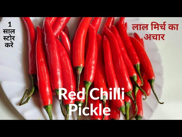 Lal Mirch Ka Achar|लाल मिर्च का तीखा चटपटा भरवा अचार एक साल स्टोर करे|Tender Red Chilli Pickle|Achar | NishaMadhurima Recipes