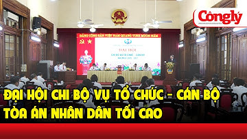 Đại hội Chi bộ Vụ Tổ chức - Cán bộ Tòa án nhân dân tối cao | Báo Công lý