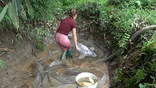 Download Lagu Gorgeous Fishing Girl, Use Pump Sucks Water Outside The Lakes, Catch a Lots of Fish In a Puddle Dry MP3 Download Lagu Gorgeous Fishing Girl, Use Pump Sucks Water Outside The Lakes, Catch a Lots of Fish In a Puddle Dry MP3