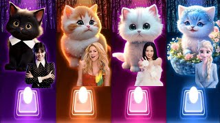 Wednesday cats vs waka waka cat vs jisoo flower cat vs Elsa cat ios Android gameplay edit