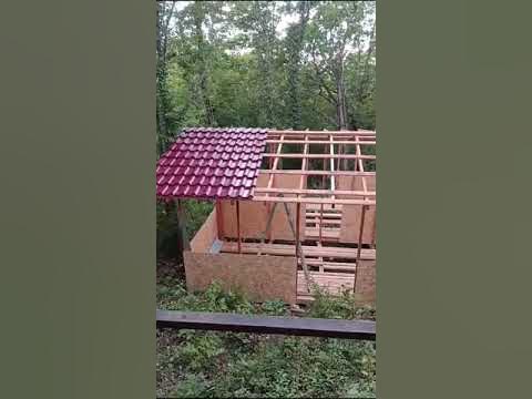🌏 Дача. Туапсе 18.09.24 (1) 👍 - YouTube