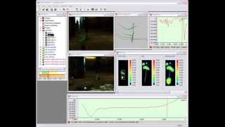 Gait Analysis with RSscan Foot Pressure Plates 3D Simi Motion