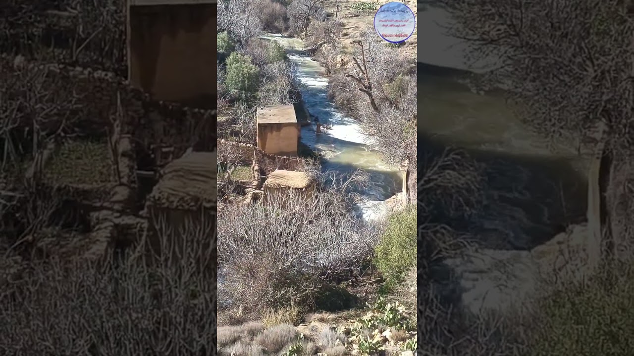 ينابيع بوزينة القديمة تعود للحياة 