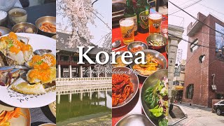 [Korea Travel Vlog] A Japanese family travels to Korea... 🇰🇷 Sightseeing/Gourmet/Shopping