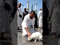#shortvideo #makkah #duet #اكسبلور #القزابري #love