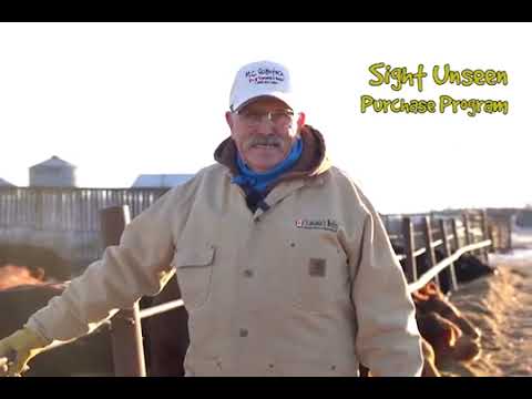 Mac Explains Sight Unseen Program - M.C. Quantock "Canada's Bulls"