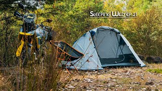 Motorcycle Camping Solo In The Wilderness | Sleeping Wild Ep.21 | Silent Vlog