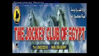 478الهيئة العليا لسباق الخيل1890 الفرس اميره الجزيرةHorse Amyrh Aljazira موسم2001-2002