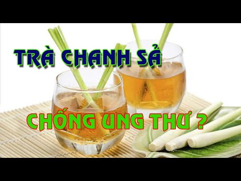 Video: Tillandsia khí quyển: chăm sóc tại nhà, mô tả thực vật, đánh giá