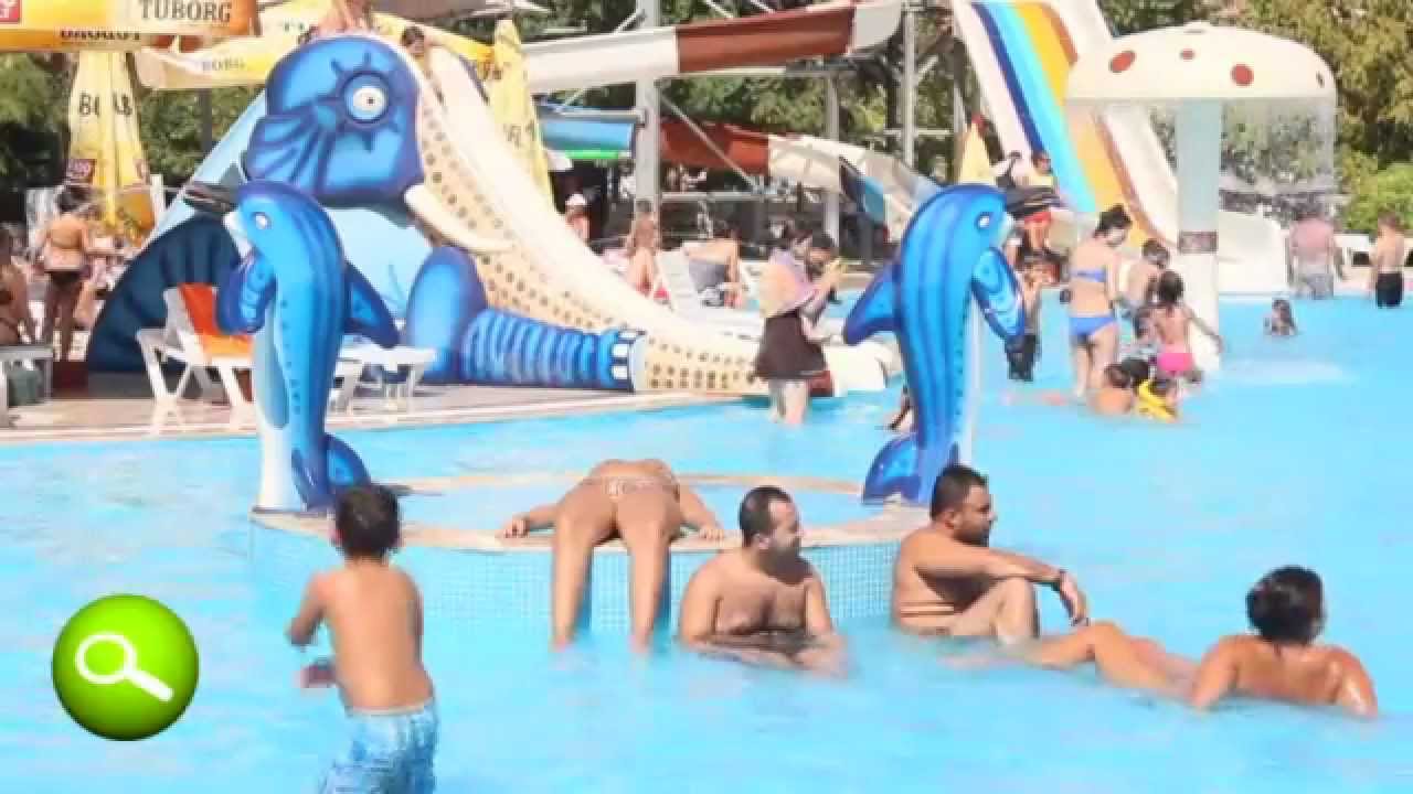 Aqua Dolphin Servislerimiz