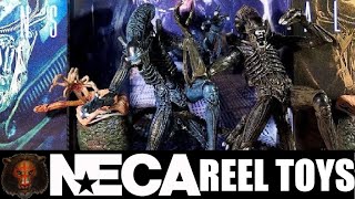 NECA Aliens Blue & Brown Xenomorph Ultimate Figure Review & Comparison
