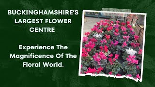 Flowerland 2023 Walk Around Buckinghamshires Largest Flower Centre Diverse Product Range