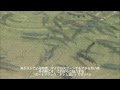 管釣ルアー。この釣れ方は反則でしょ（笑）